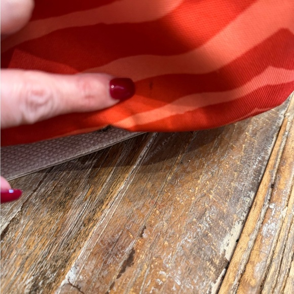 Coach Zebra - Picture 9 of 12